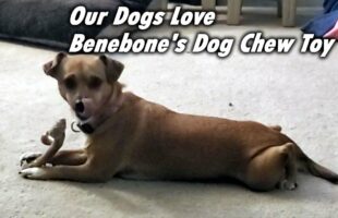 Our Dogs Love Benebone’s Dog Chew Toy
